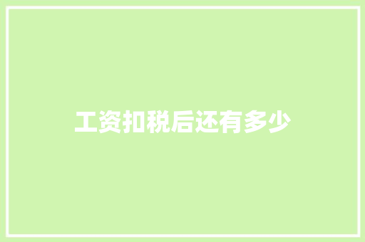 工资扣税后还有多少