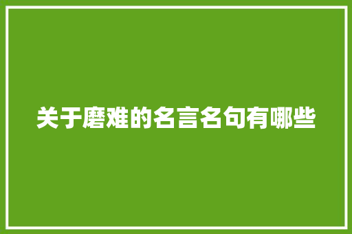 关于磨难的名言名句有哪些