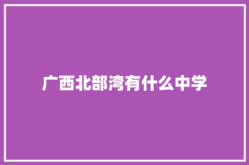 广西北部湾有什么中学