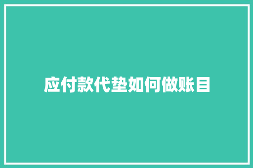 应付款代垫如何做账目