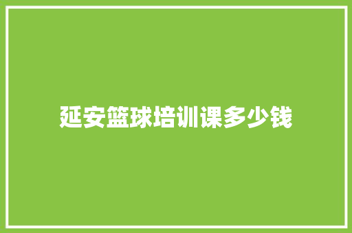 延安篮球培训课多少钱