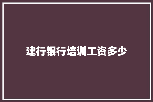 建行银行培训工资多少