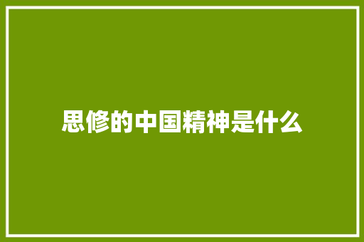 思修的中国精神是什么