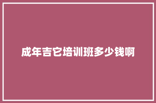 成年吉它培训班多少钱啊 写作素材
