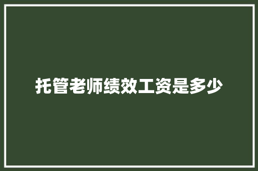 托管老师绩效工资是多少