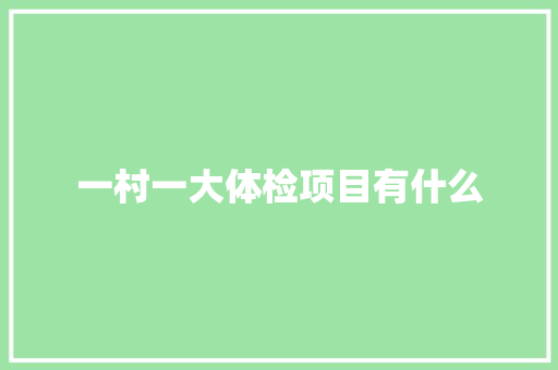 一村一大体检项目有什么