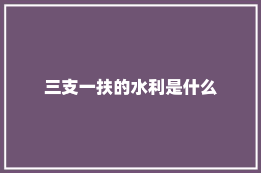 三支一扶的水利是什么