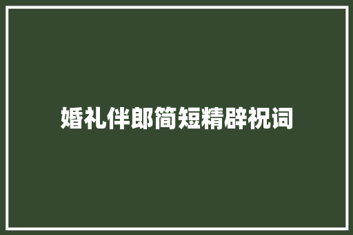 婚礼伴郎简短精辟祝词 写作素材