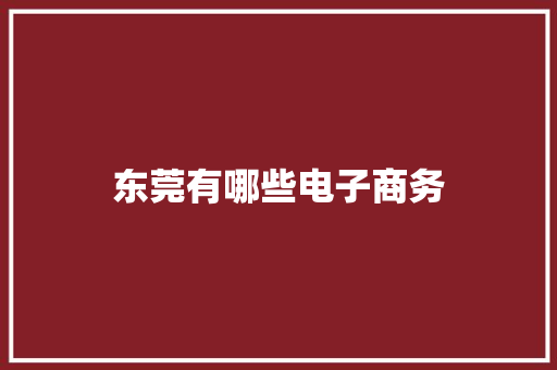 东莞有哪些电子商务