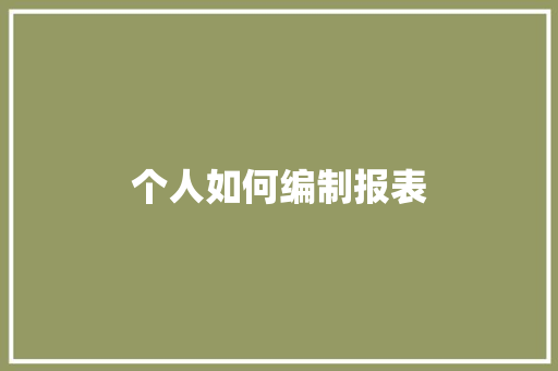 个人如何编制报表