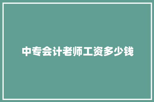 中专会计老师工资多少钱