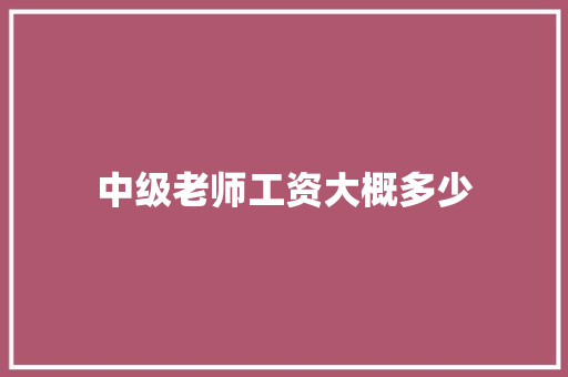 中级老师工资大概多少