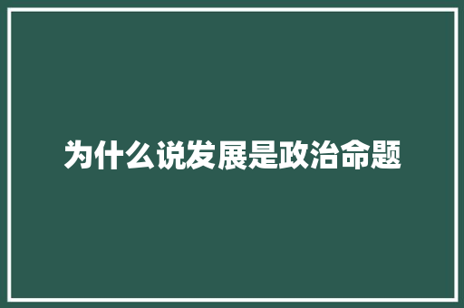 为什么说发展是政治命题