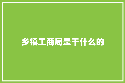 乡镇工商局是干什么的