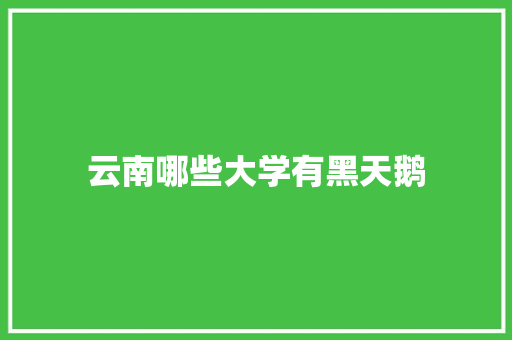 云南哪些大学有黑天鹅
