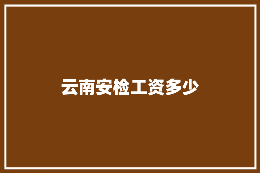 云南安检工资多少