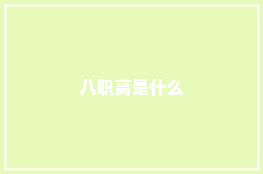 八职高是什么