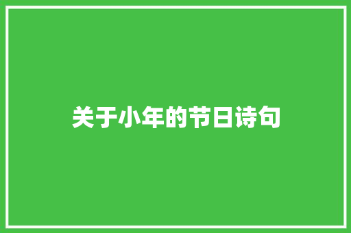 关于小年的节日诗句