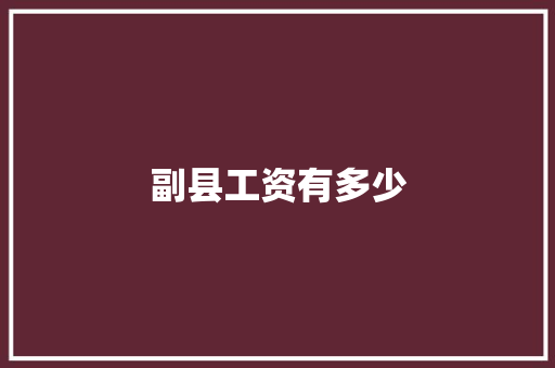 副县工资有多少