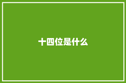 十四位是什么