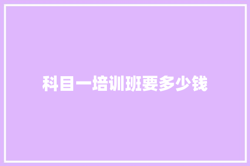 科目一培训班要多少钱