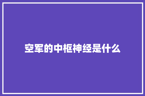 空军的中枢神经是什么