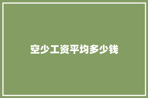 空少工资平均多少钱