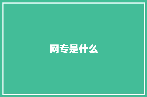网专是什么
