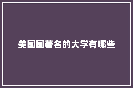 美国国著名的大学有哪些