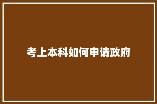 考上本科如何申请政府