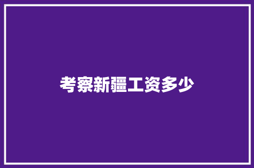 考察新疆工资多少