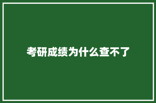 考研成绩为什么查不了
