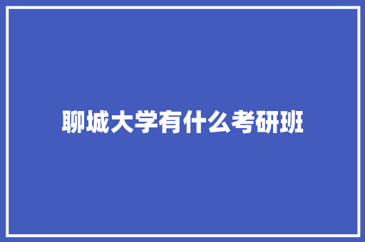 聊城大学有什么考研班