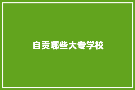 自贡哪些大专学校