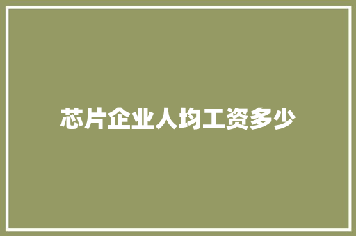 芯片企业人均工资多少