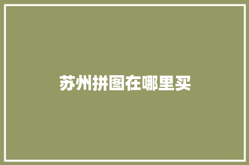 苏州拼图在哪里买