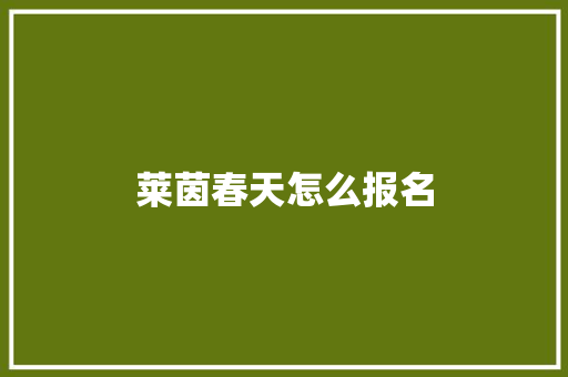 莱茵春天怎么报名