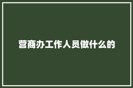营商办工作人员做什么的