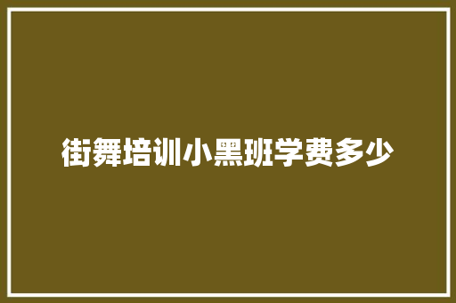 街舞培训小黑班学费多少 写作社区