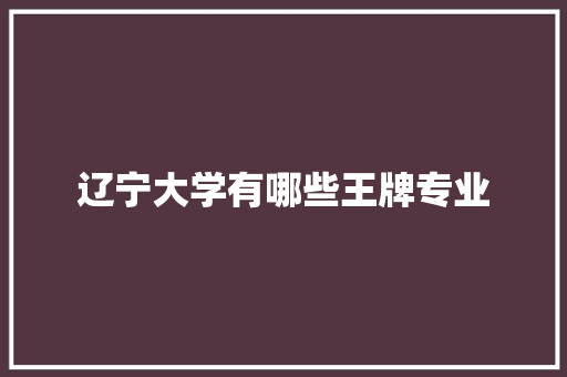 辽宁大学有哪些王牌专业