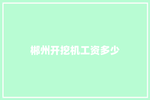 郴州开挖机工资多少