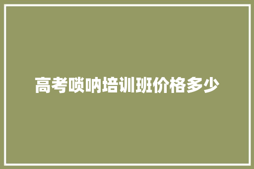 高考唢呐培训班价格多少