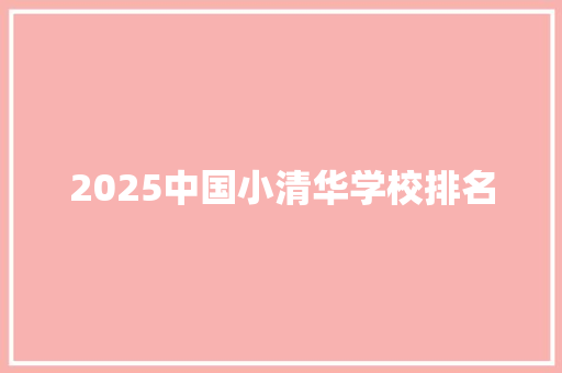 2025中国小清华学校排名
