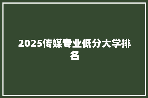 2025传媒专业低分大学排名