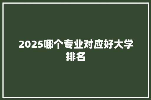 2025哪个专业对应好大学排名