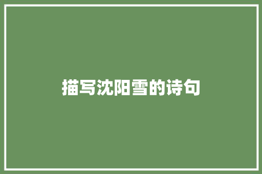 描写沈阳雪的诗句