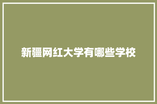 新疆网红大学有哪些学校