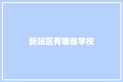 新站区有哪些学校