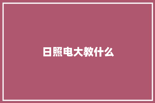 日照电大教什么