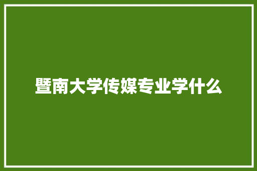 暨南大学传媒专业学什么